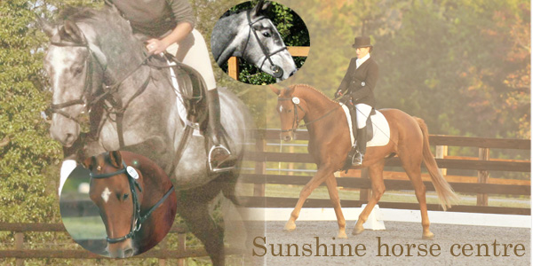 Sunshine Horse Centre